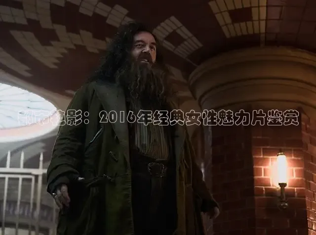 88影视剧官网