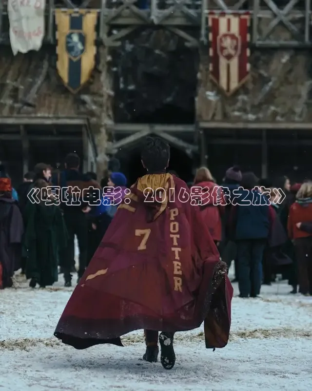 《嘎啦电影：2016影像之旅》